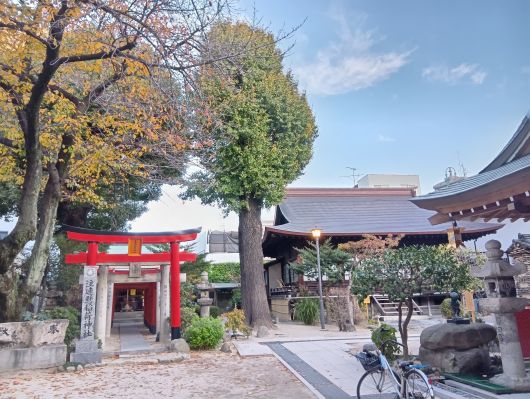 251209073117177-7��31ʬ