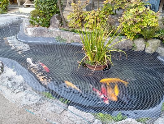 251108072754977-7»þ27ʬ