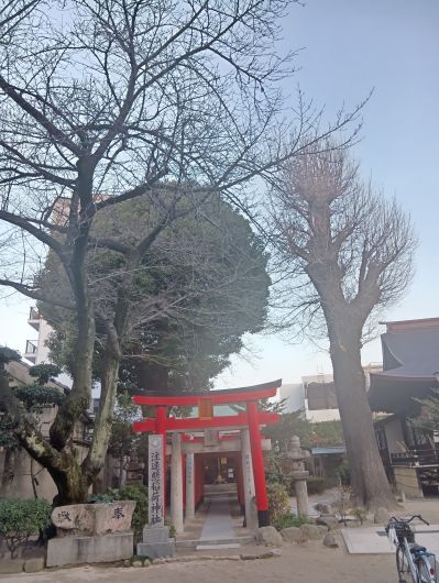 260119073306105-7��33ʬ