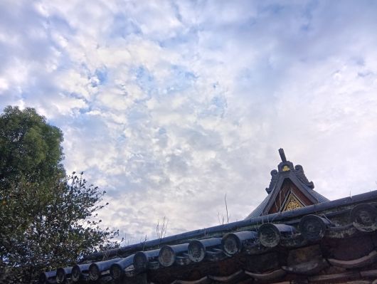 251105072748130-7»þ27ʬ