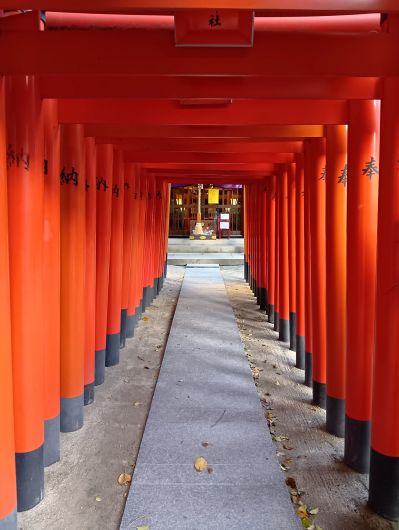 251009065345026-6»þ53ʬ