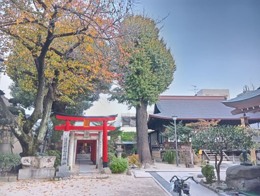 251207074958707-7��7��49ʬ