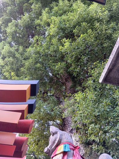 251017070756511-7»þ7ʬ