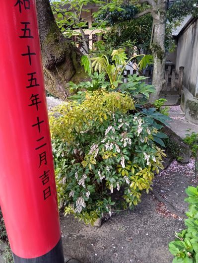 250414062621528-6時26分