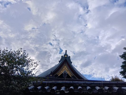 251103084324691-8»þ43ʬ