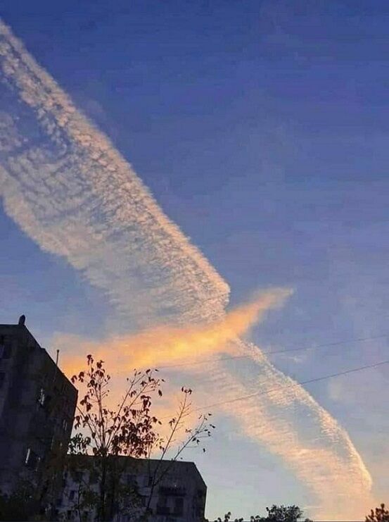 2022.7.11»³¸ý¸©¤Ç¸«¤é¤ì¤¿±À