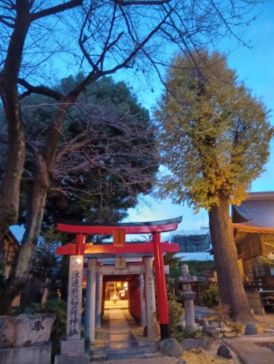 251222065923323-6��59ʬ