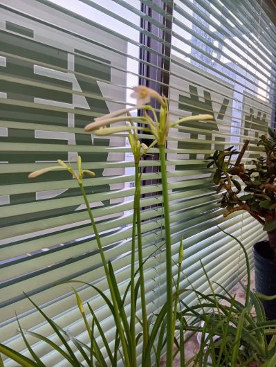 251202071249577-7��12ʬ