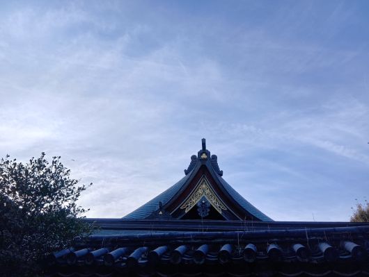 251030072301247-7»þ23ʬ