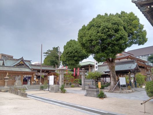 251018074131710-7»þ41ʬ