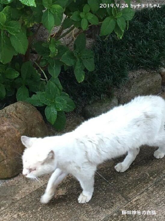 ���Ĥ���ǭ