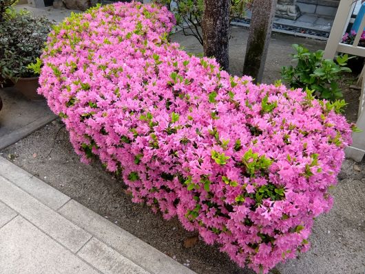 250416062804994-6時28分