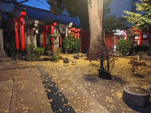 251221065021644-6��50ʬ