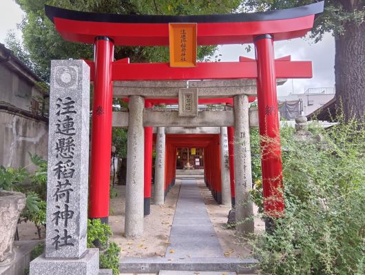 250929071925000-7»þ19ʬ