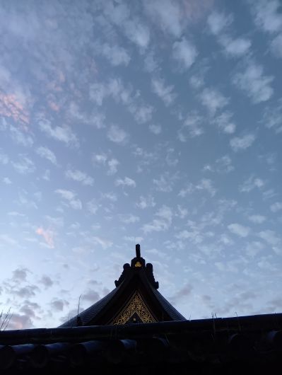 251026063114760-6»þ31ʬ