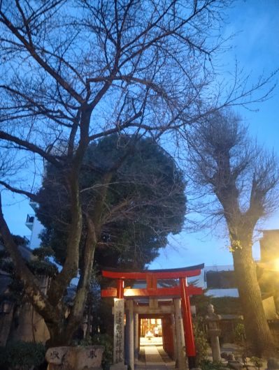 260108065639101-6��56ʬ