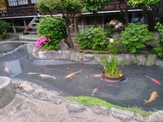 250420062637590-6時26分