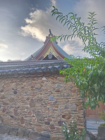 250913063132061-6»þ31ʬ