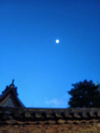 251212064010026-6��40ʬ