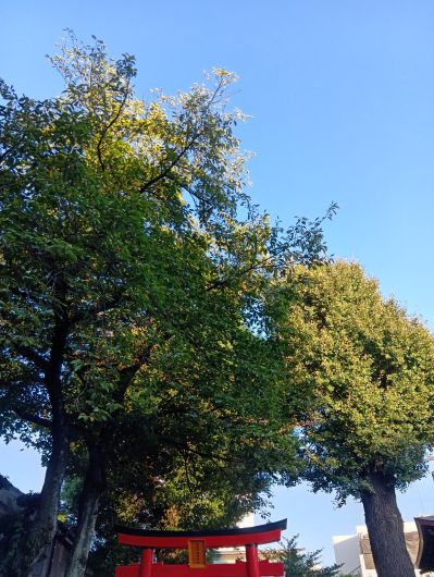 251001071218003-7»þ12ʬ