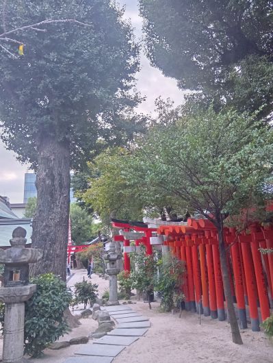 251021064612526-6»þ46ʬ