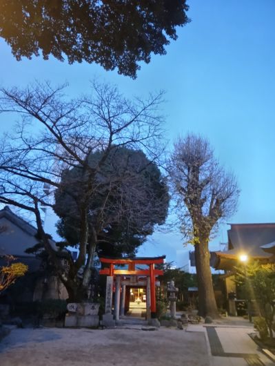 251229065842673-6��58ʬ