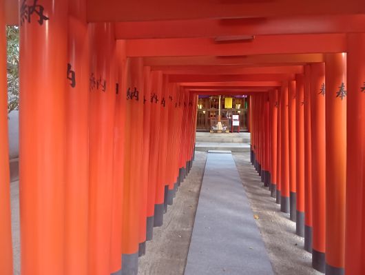 251216074000515-7��40ʬ