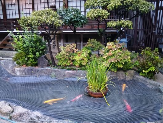 251004062048817-6»þ20ʬ