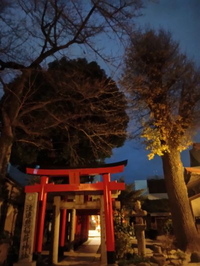 251228064917981-6��49ʬ