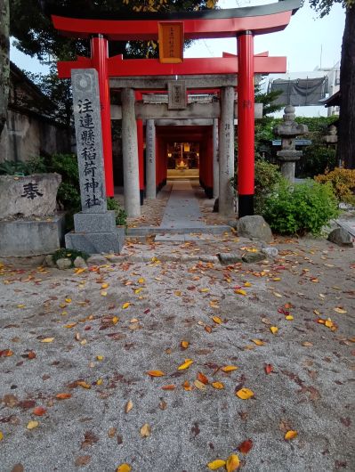 251202070205895-7��2ʬ