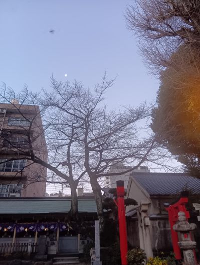 260110071643558-7��16ʬ