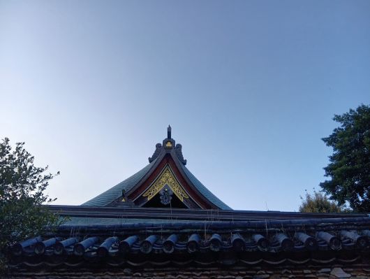 250922062456412-6»þ24ʬ