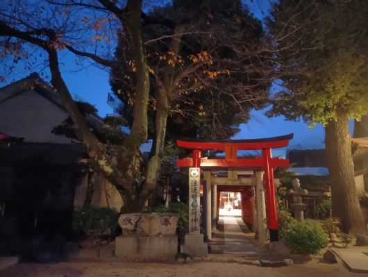 251217064310921-6��43ʬ