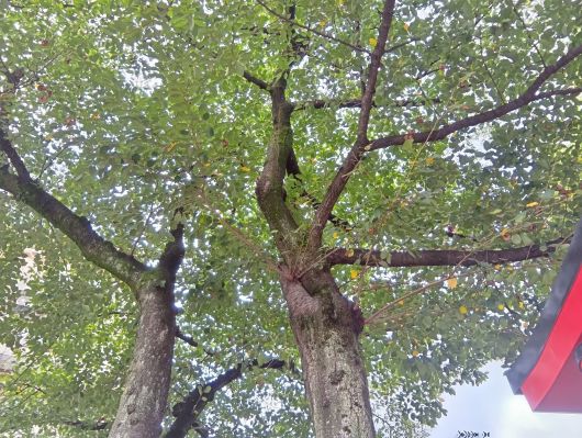 251015070813869-7»þ8ʬ