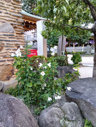 251011073118928-7»þ31ʬ