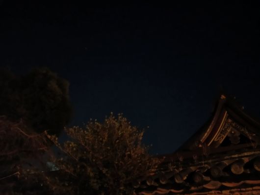 251219054710679-5��47ʬ