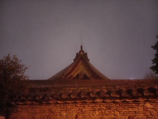 260208063321174-6��33ʬ