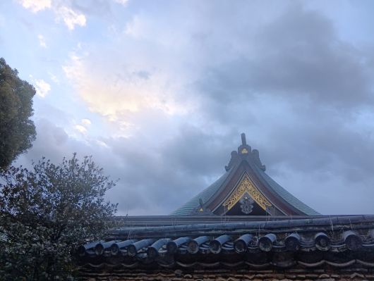 260111075731900-7��57ʬ