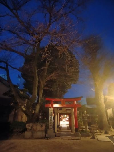 260126064230319-6��42ʬ