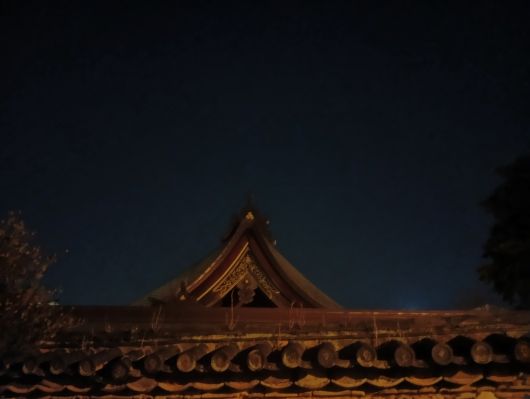 260125061438823-6��14ʬ