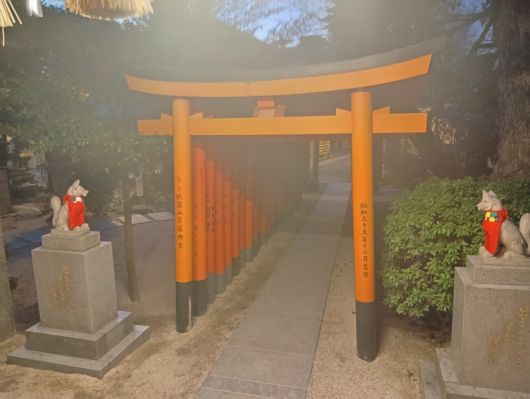 260122065544370-6��55ʬ