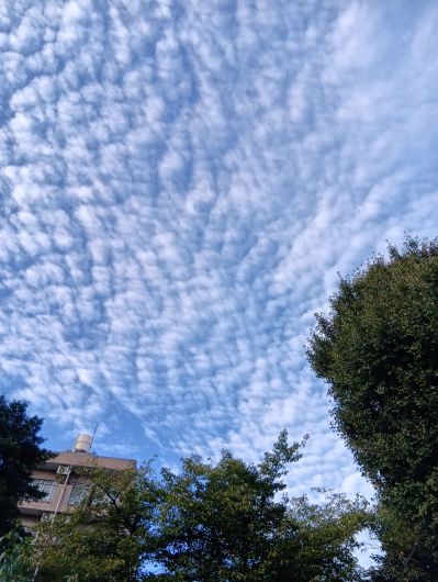 250930065907093-6»þ59ʬ