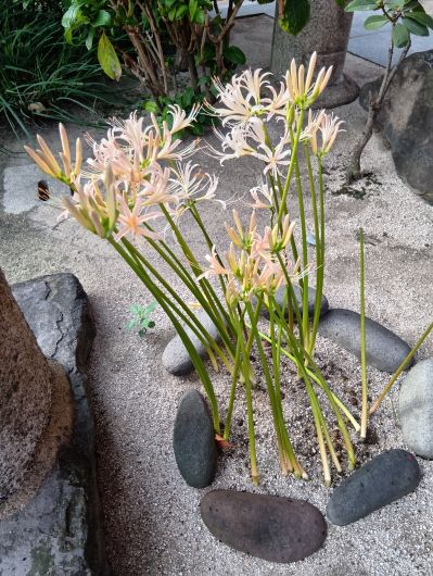 250926065907296-6»þ59ʬ