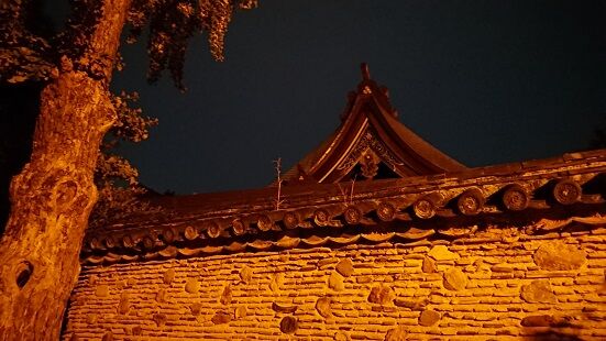 DSC_0131-5時28分