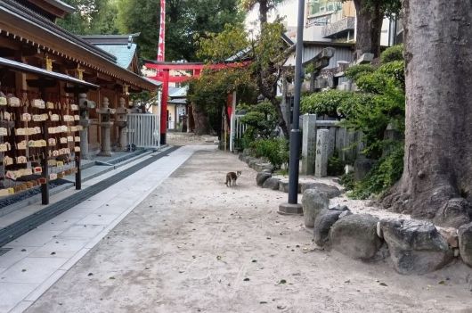 251014063923110-6»þ39ʬ