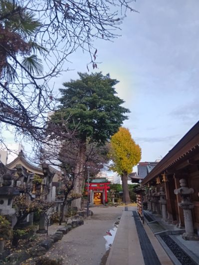 251220070712220-7��7ʬ