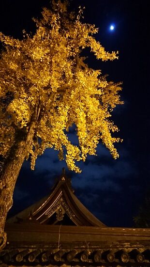 DSC_0083-6時ちょうど