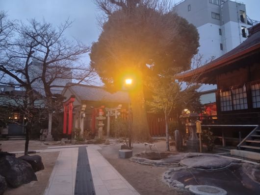 260206065905045-6��59ʬ