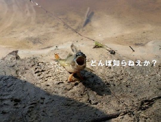 2019.3.20