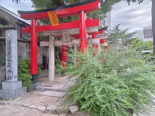 250918152034089-3-19Æü£¶»þ£´£¹Ê¬